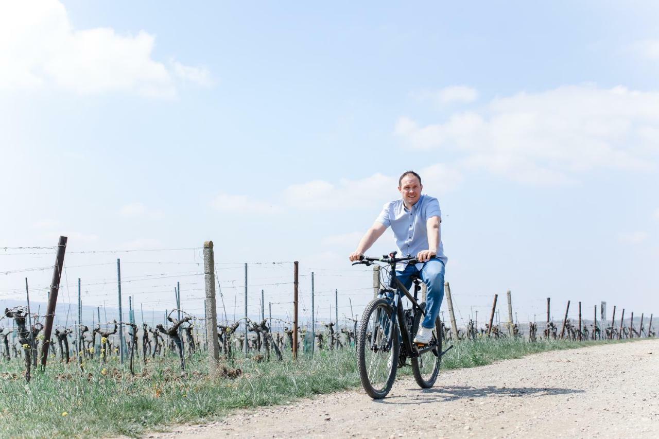 Vino Apartmán Poysdorf